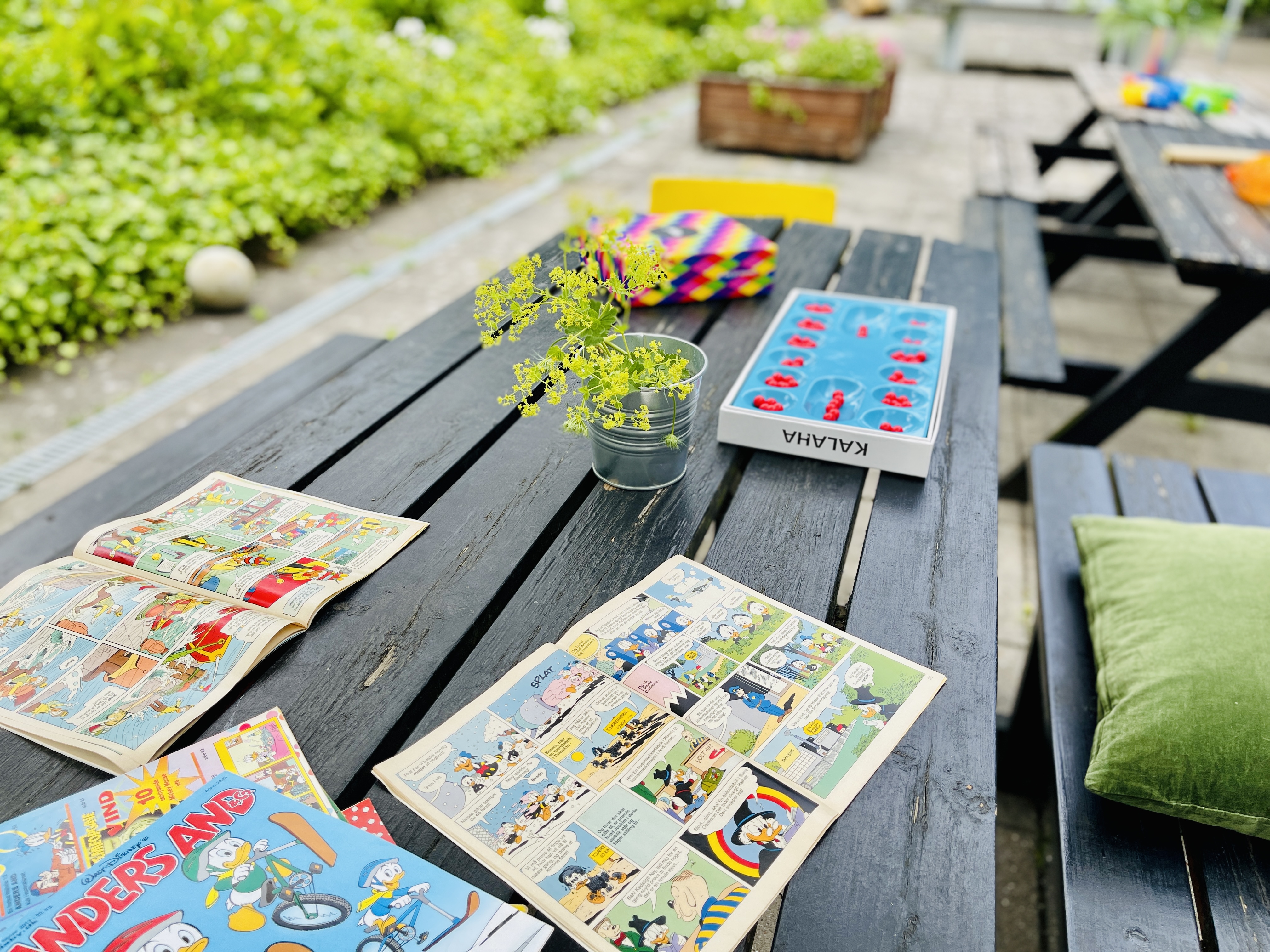 Bord med spil og blade