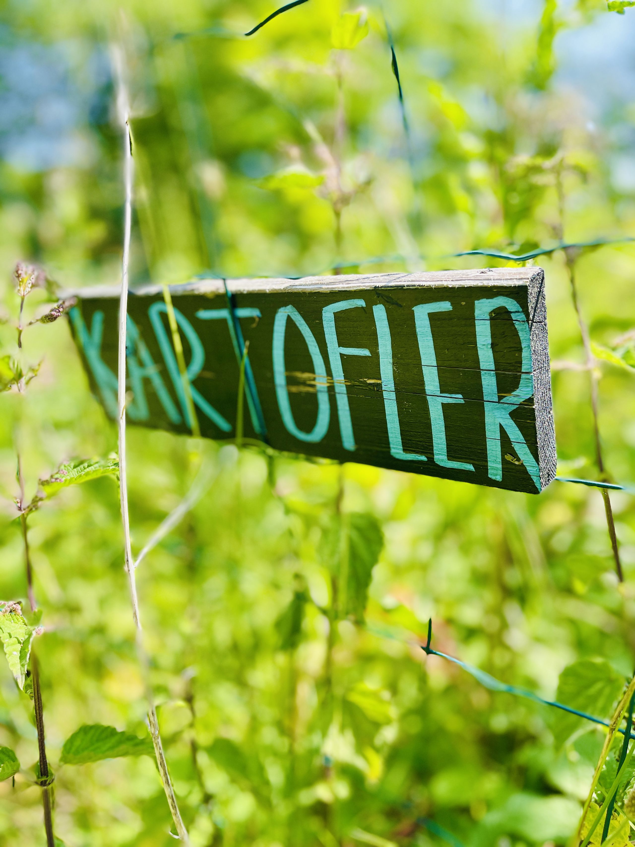 skilt med kartofler