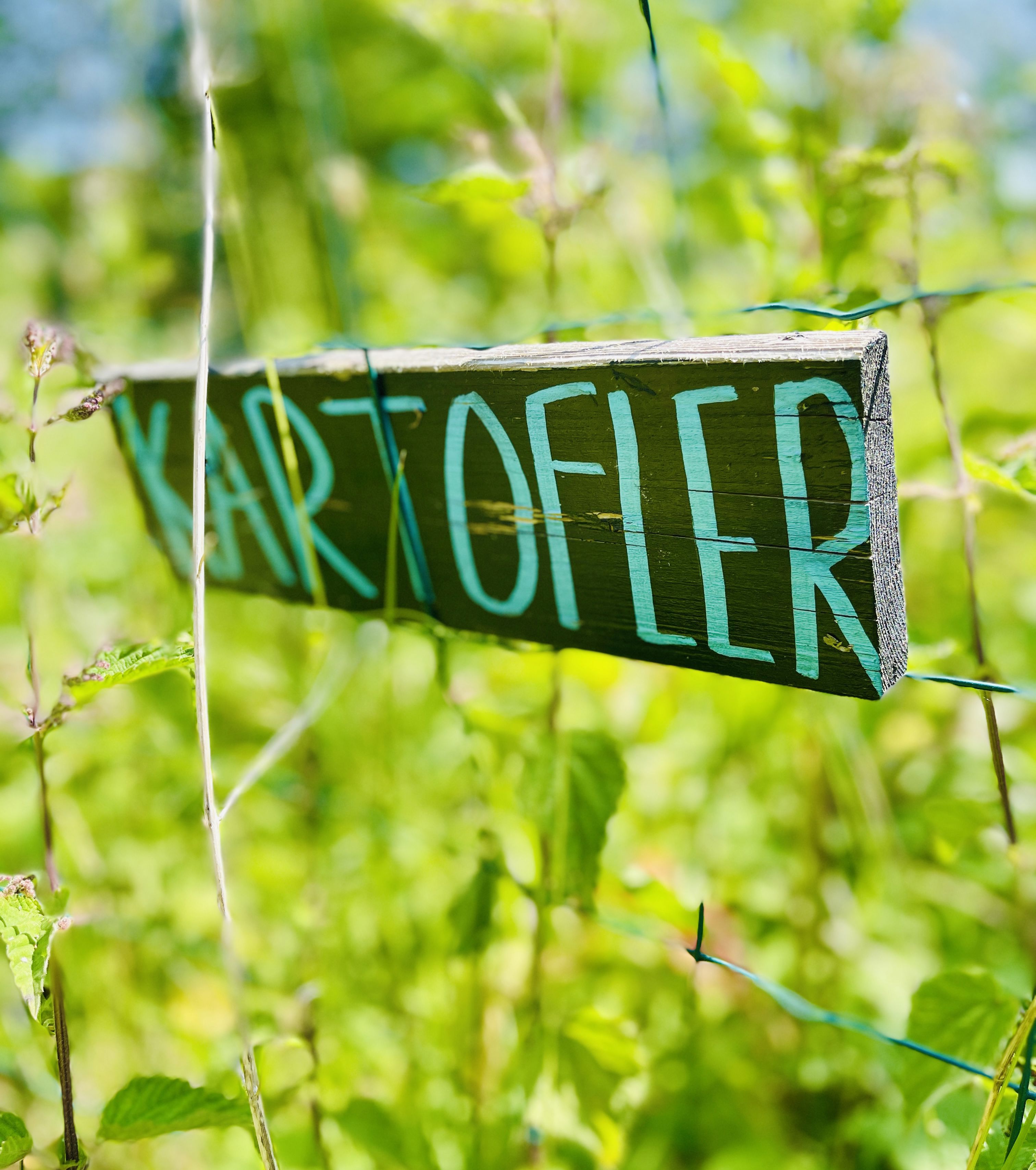 skilt med kartofler