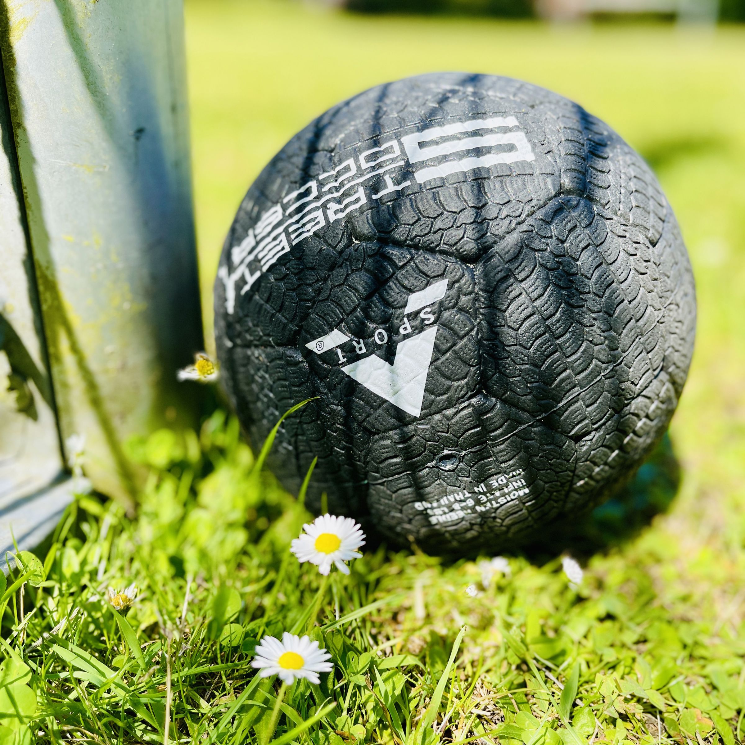 fodbold i græs