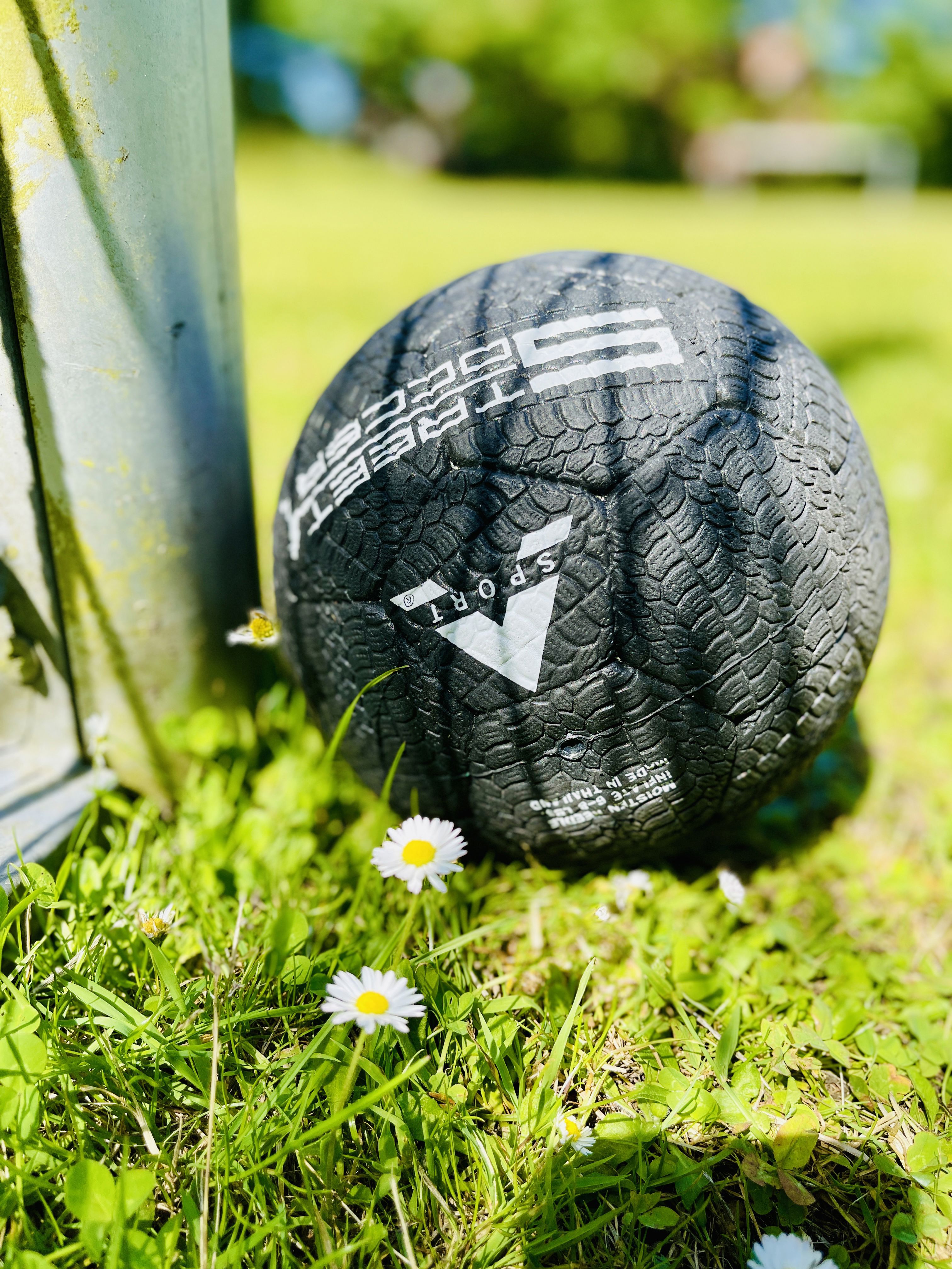 fodbold i græs