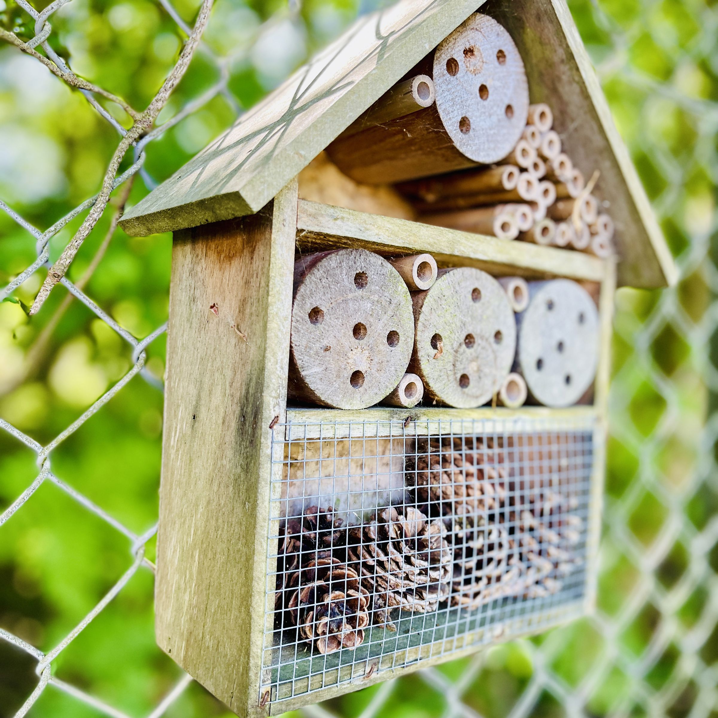 lille insekthotel