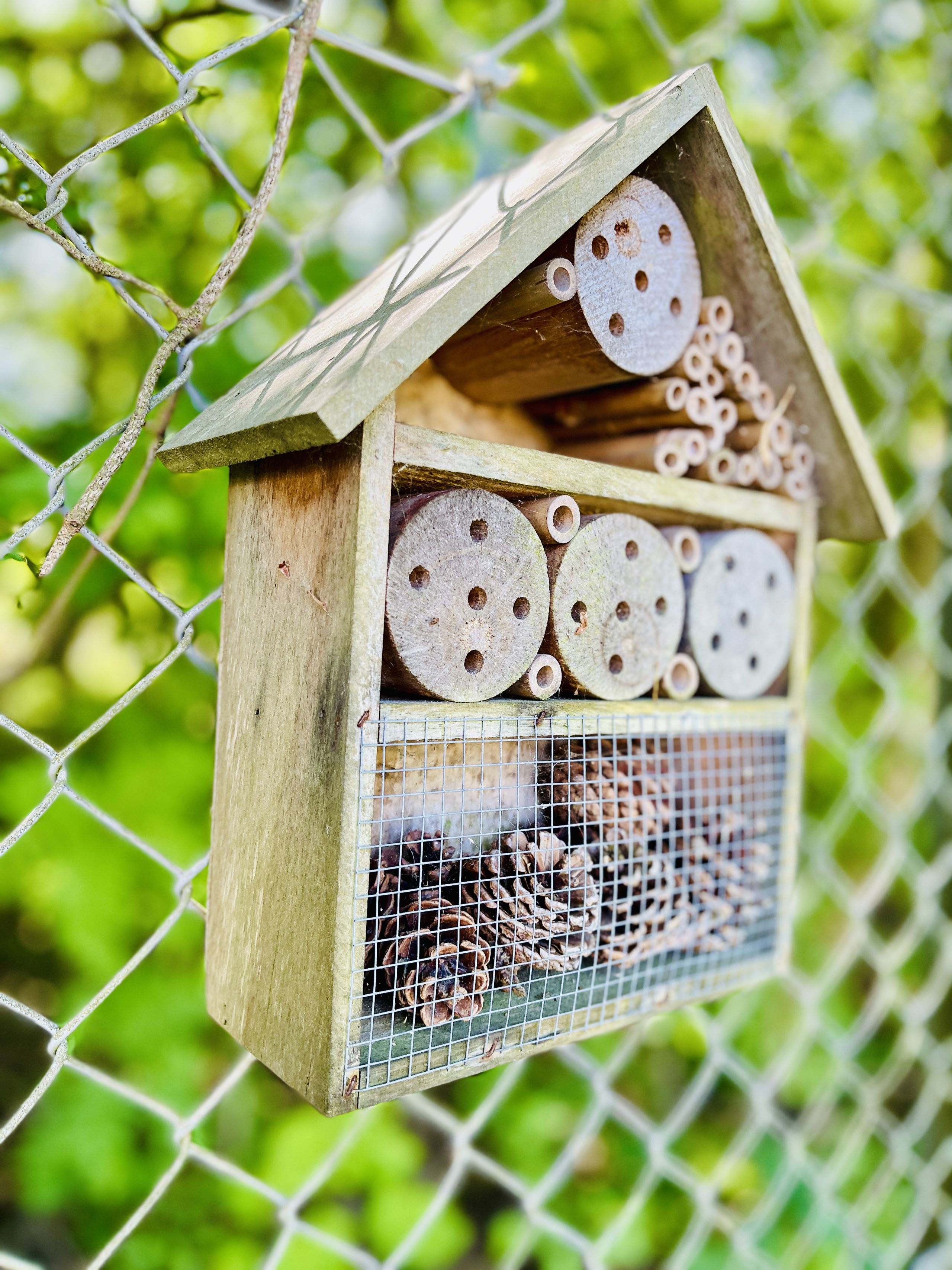 lille insekthotel