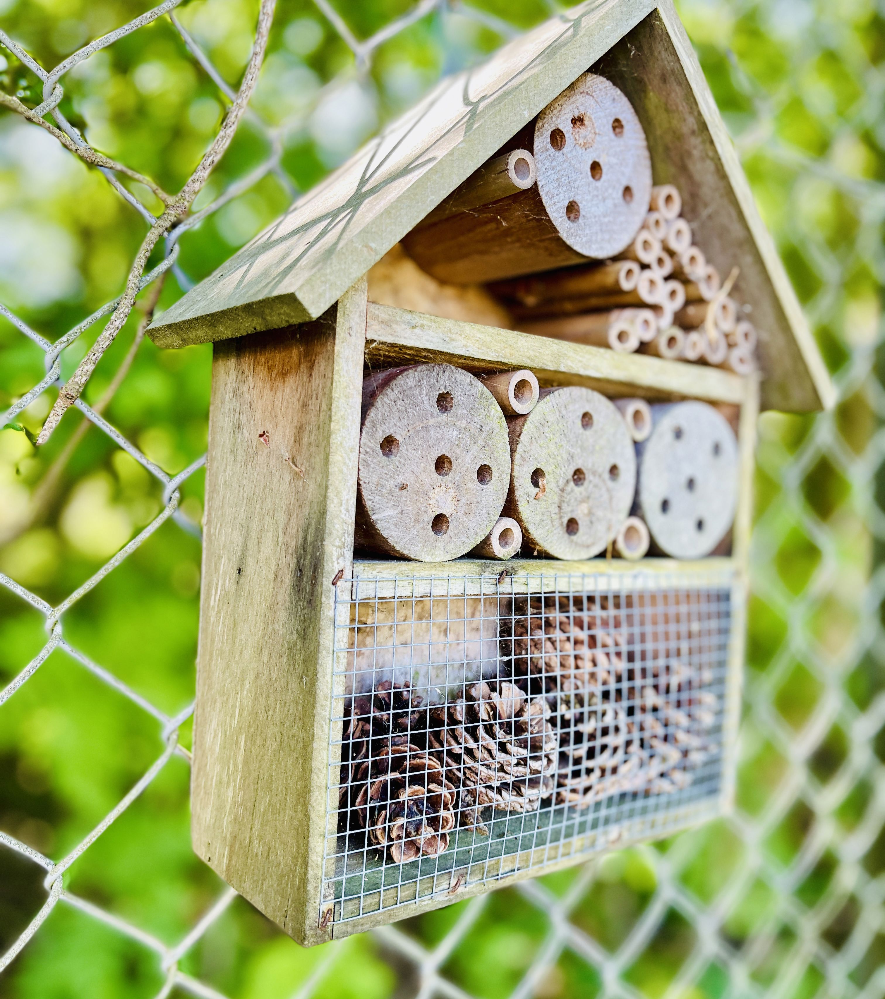 lille insekthotel