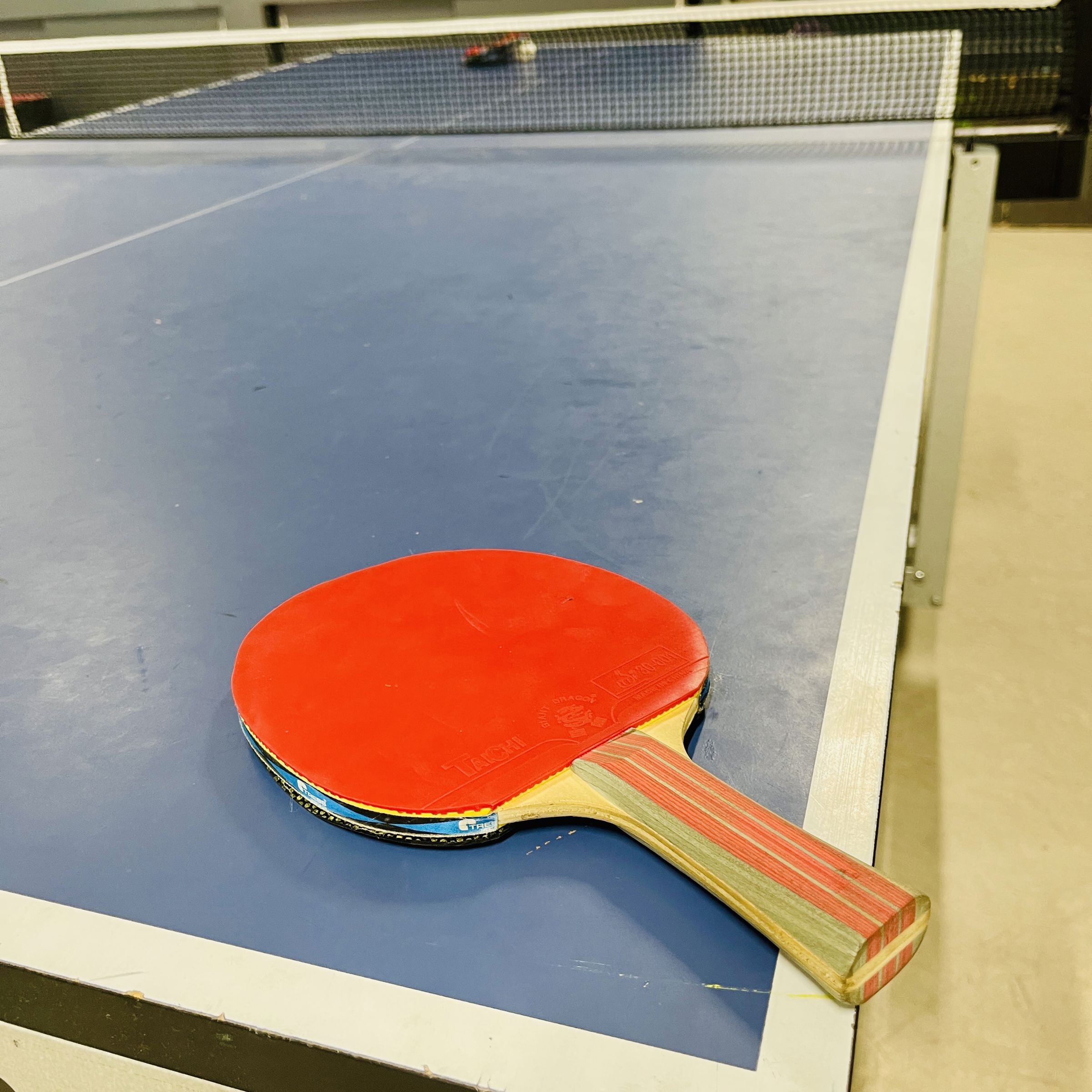 bordtennisbord
