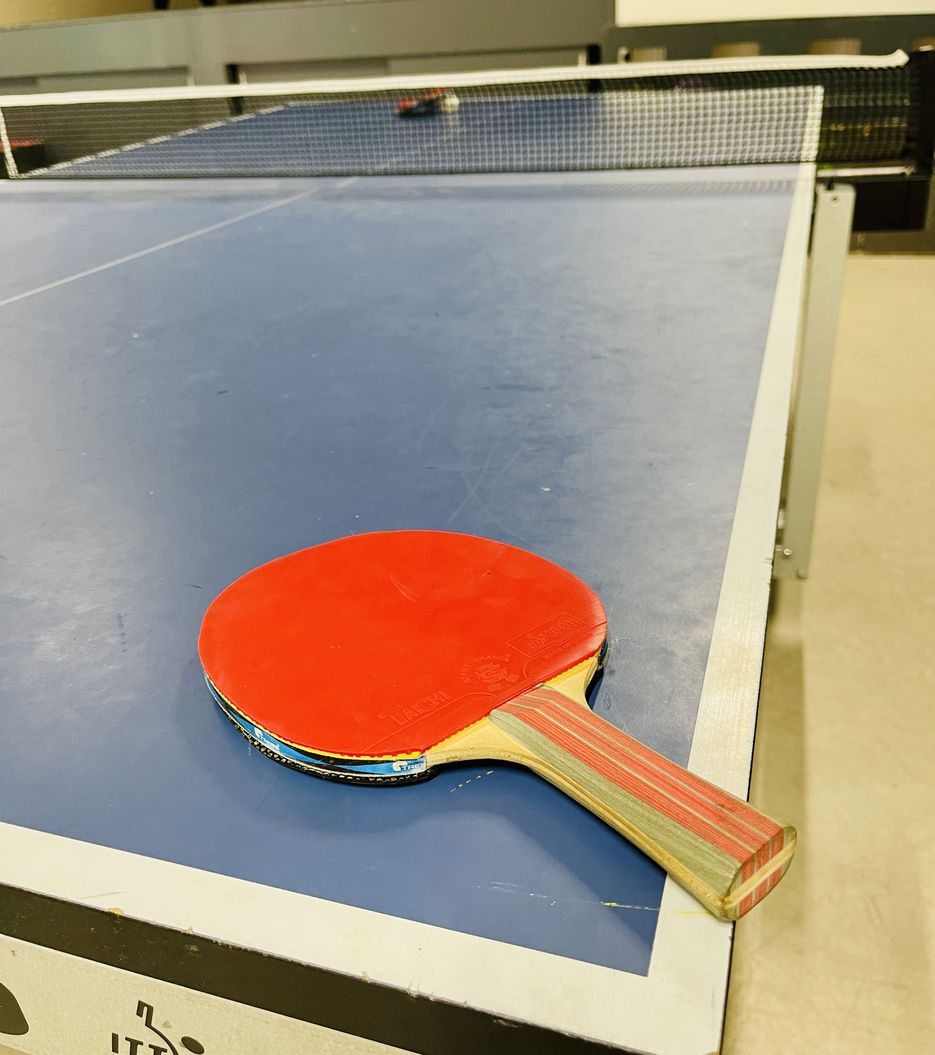 bordtennisbord