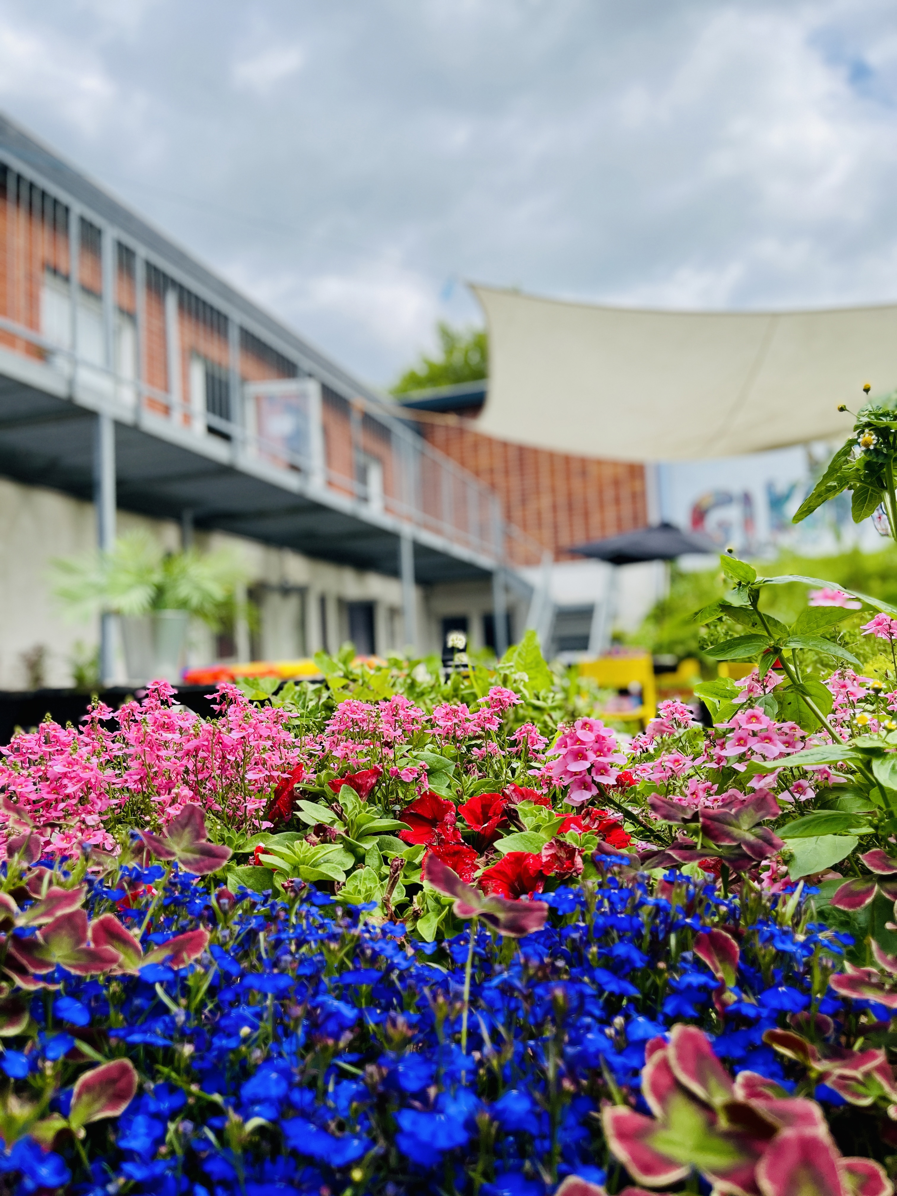 blomsterbed