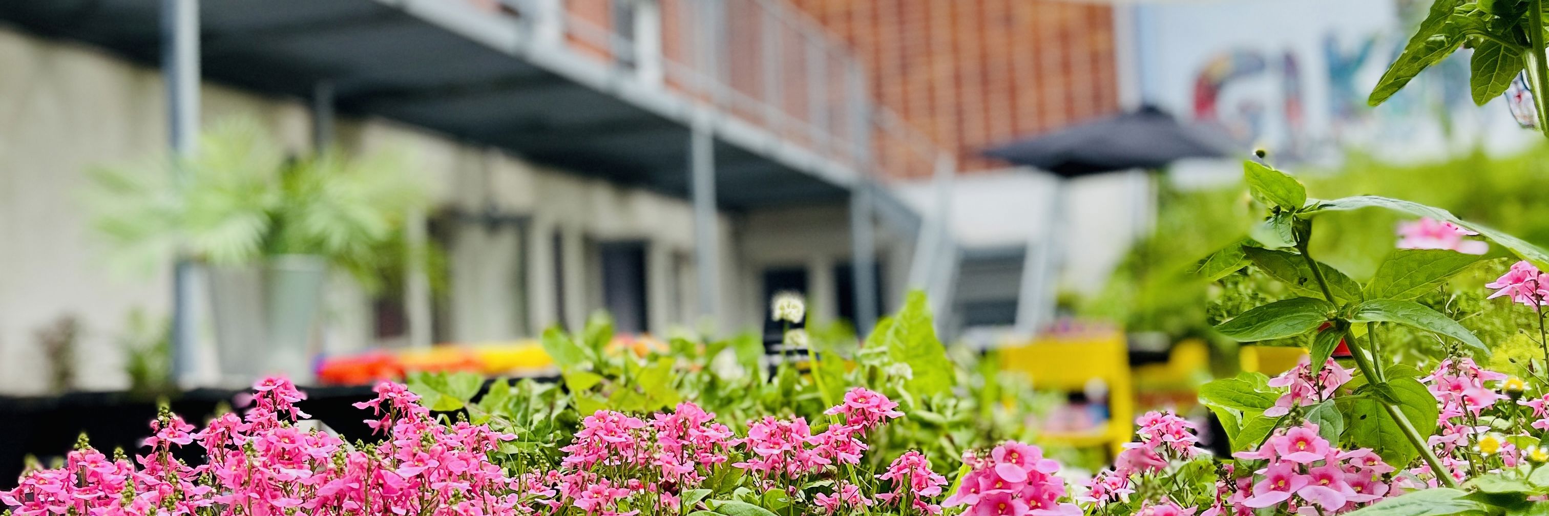 blomsterbed