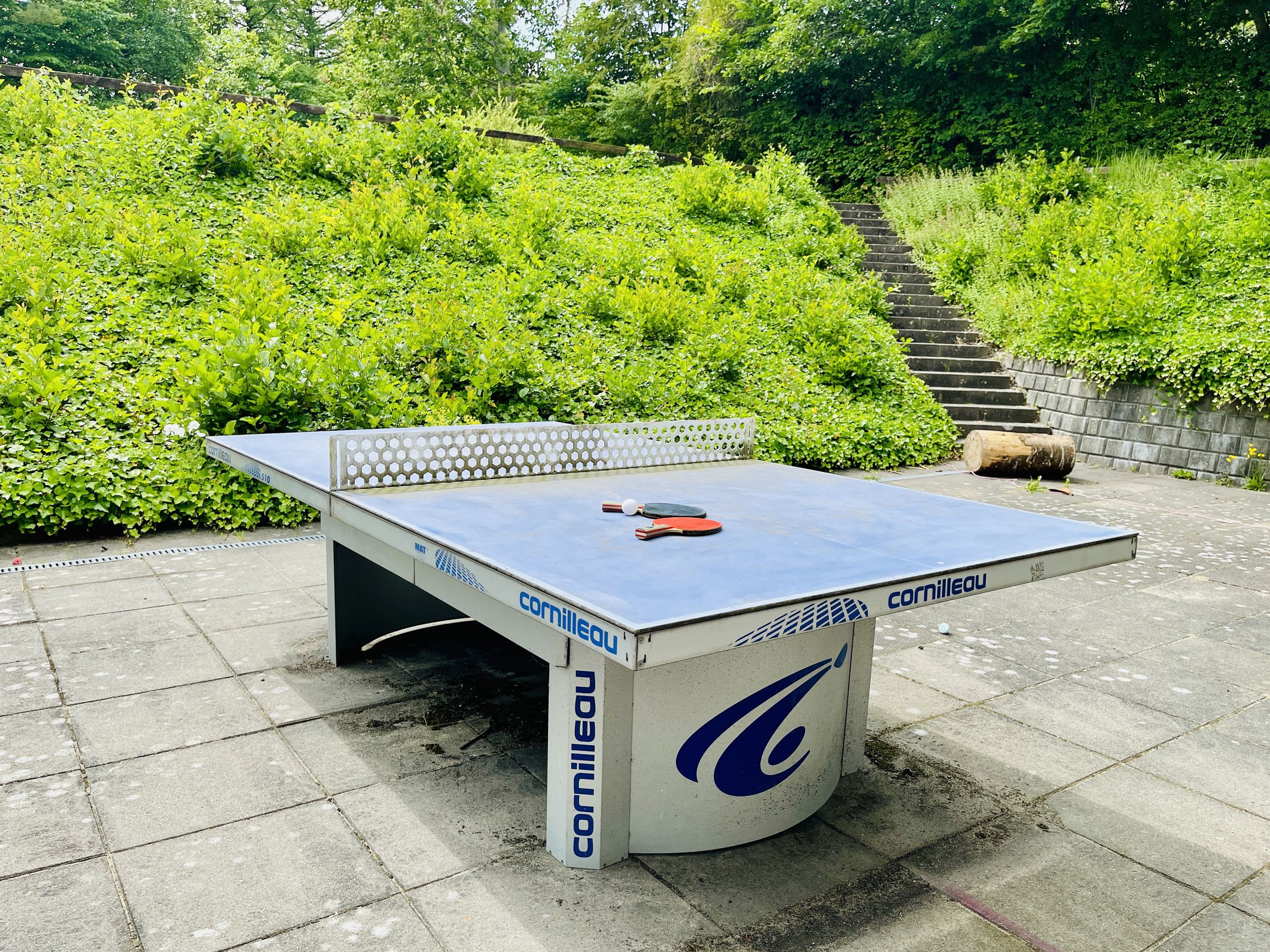udendørs bordtennisbord