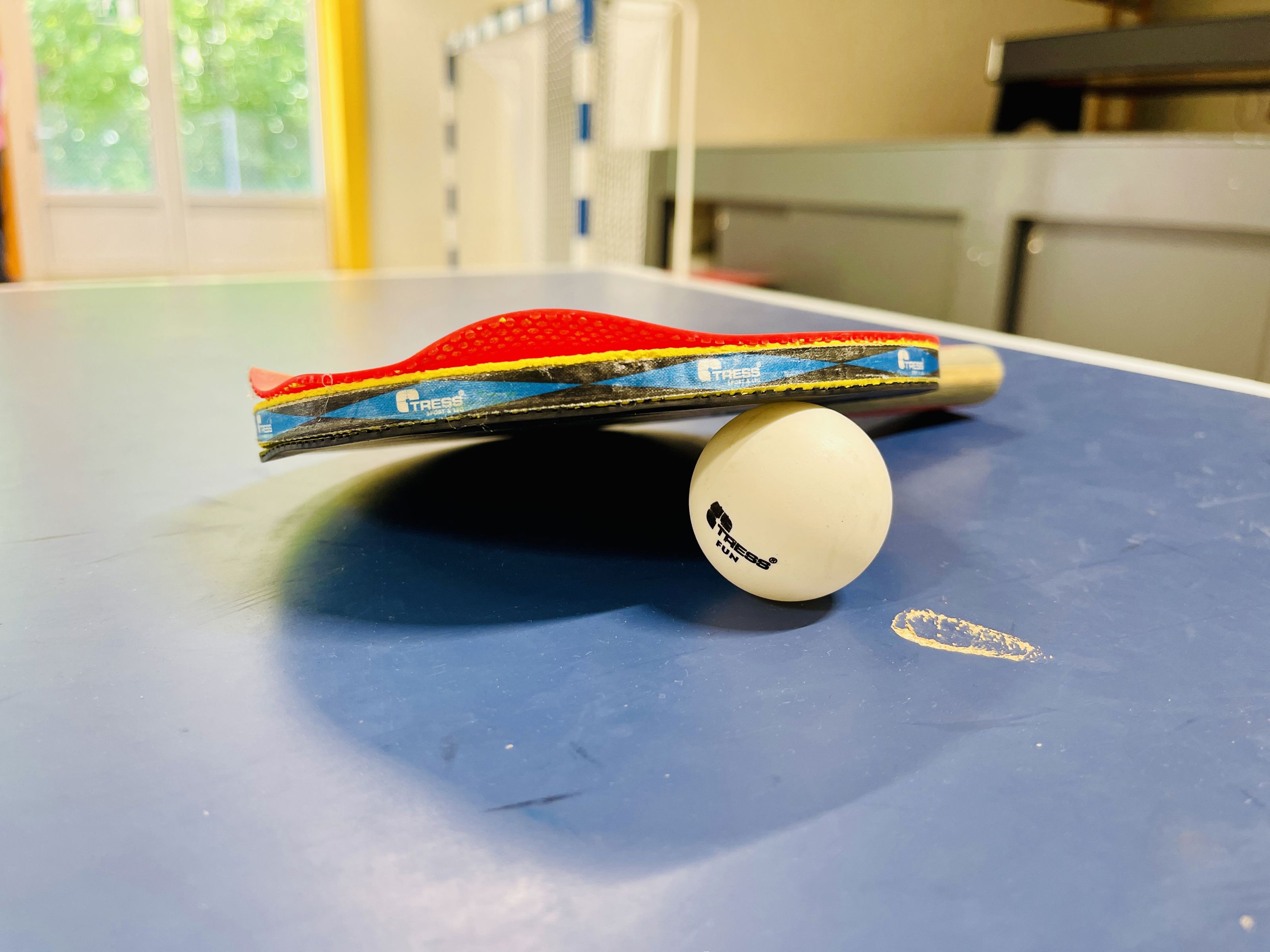 bordtennis bat og bold